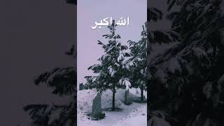 MUHAMMAD. #sunnah #душанбе #shorts #islam #☪