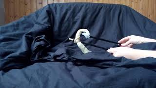 Tentacle test 5