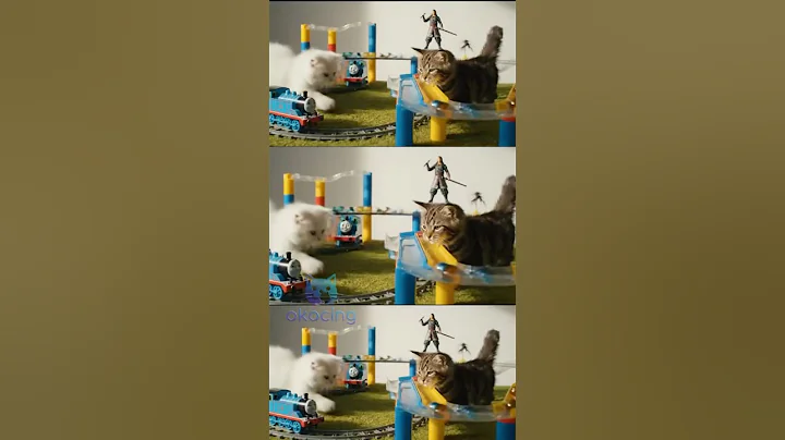 Watch the video about Persian & Maine Coon Kittens Play with Thomas the Train & Marble Run! 🐱🚂✨