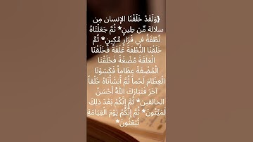 المؤمنون- الآية 12-16