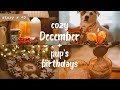 Cozy last days of december pups birt.ay cheese fondue burning bowl new years ritual