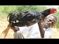 King  rooster prepared by my daddy  village food factory  inside subtitle