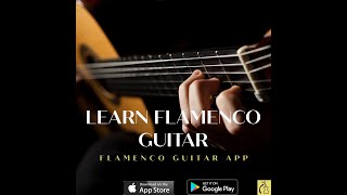 Learn Flamenco Guitar App Tour - download today 💥 screenshot 1