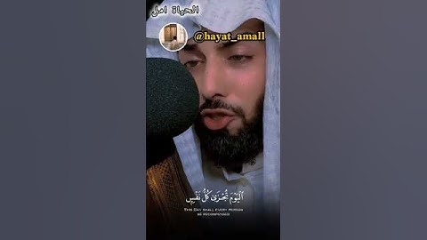 ✨ تلاوة تبكي القلوب بصوت خالد الجليل | خشوع يهز الوجدان 💔📿#quran#تلاوة_خاشعة