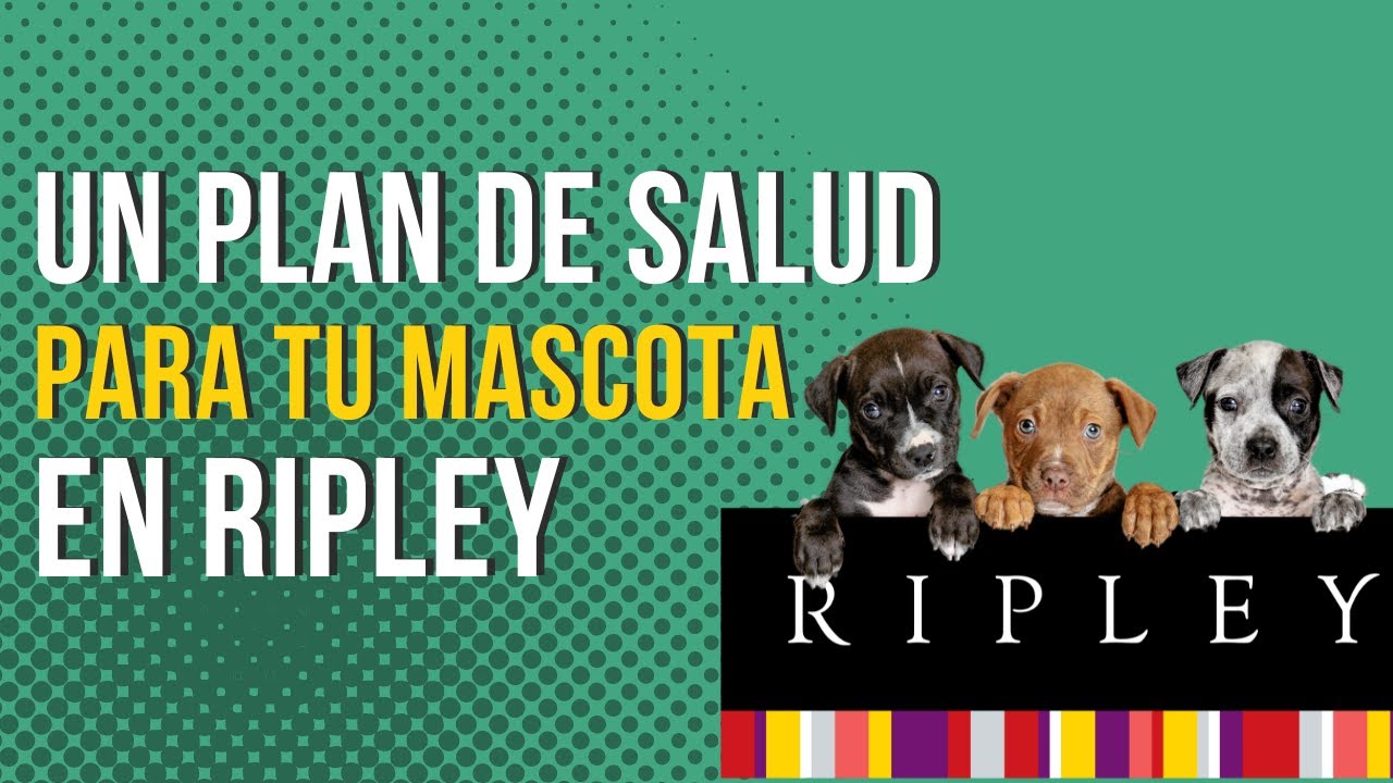 PLANES DE SALUD PARA TU MASCOTA EN RIPLEY