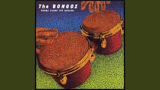 Vignette de la vidéo "The Bongos - In the Congo"