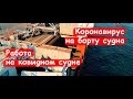 Работаю на ковидном судне/ Коронавирус на борту сухогруза/ Новости Приморья/ Июль 2021 год
