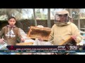 تقرير حصة شبشير قرية مصرية تعمل بكاملها في إنتاج عسل النحل 