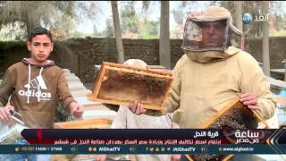 تقرير|  حصة شبشير...  قرية مصرية تعمل بكاملها في إنتاج عسل النحل