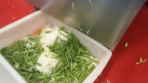 CHD802 Celery cutting machine