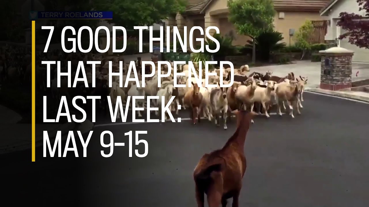 7 good things that happened last week: May 9-15