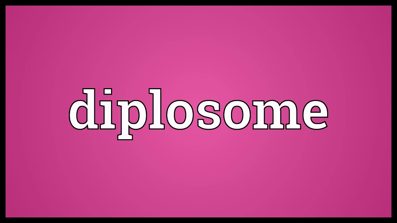 Diplosome Meaning