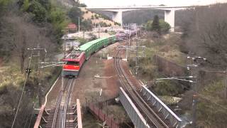 1052レ　EF210-106+コキ+EF67 105