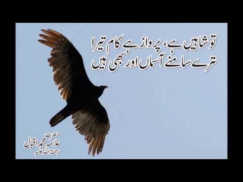 Allama Iqbal Famous Poetry In Urdu With Pictures