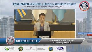 5G SECURITY CHALLENGES (PANEL)- Hon. Molly Hollowell