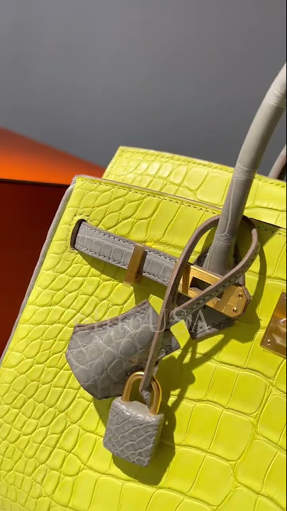 Hermes Birkin 25 Bag Breathtaking Vert D'Eau Matte Alligator Gold Hardware  • MIGHTYCHIC • 