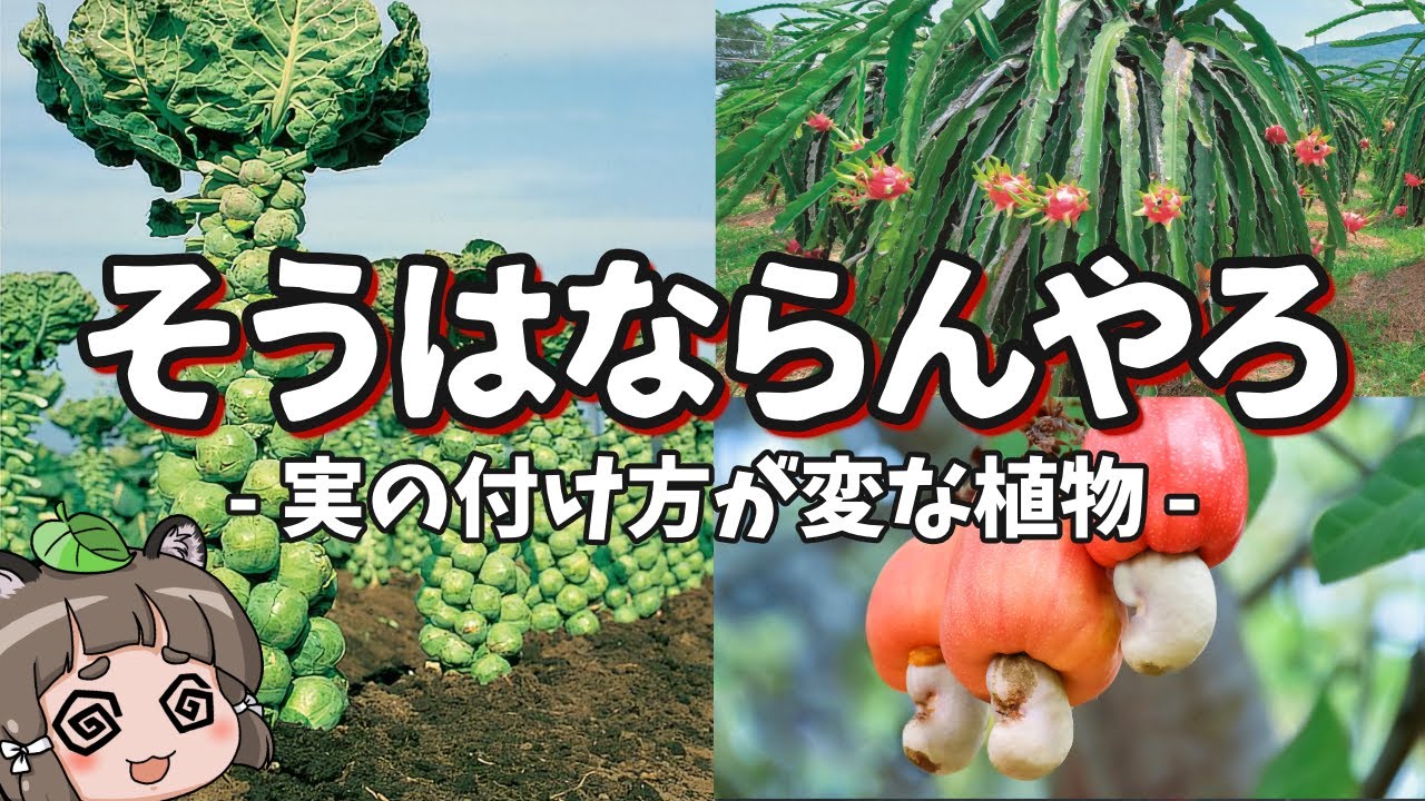 Surreal] Why do they look like that? 7 plants with strange