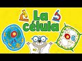 La célula | ¿Qué es? ¿Cuál es su estructura? Tipos de célula