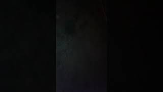 Fiz 10 Dicas Sobre Mongo E Drongo