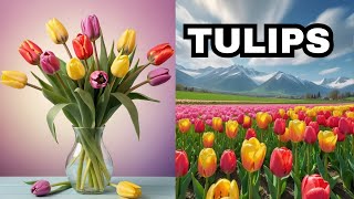 Tulip Flower | All About Tulips for Kids | Learn About Tulips for Children | World of Tulips Tulip Flower | All About Tulips for Kids | Learn About Tulips for Children | World of Tulips