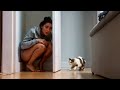 UMA GAROTA SE ESCONDEU DE UM GATO MAS NÃO ESPERAVA QUE ISSO FOSSE ACONTECER