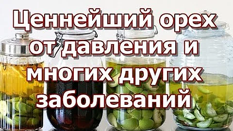 Ценнейший орех от давления и многих других заболеваний