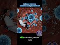 🏰 The Immunity Fortress: Inside the Bone Marrow’s Secret Stem Cell Factory!