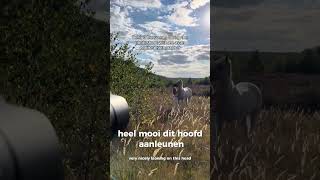 Beind the scenes during an equine photoshoot with me as the photographer