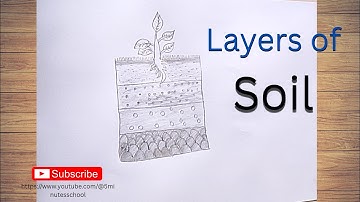 How to draw layers of soil easy  || Layers of soil drawing || 5 Minutes School
