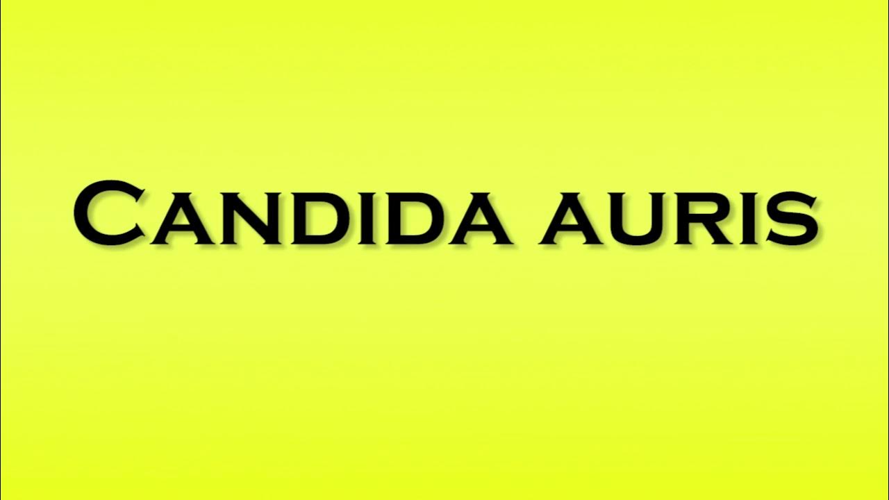 Pronunciation of Candida auris YouTube
