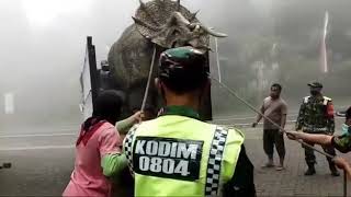 viral🔥Dinosaurus asli nyata