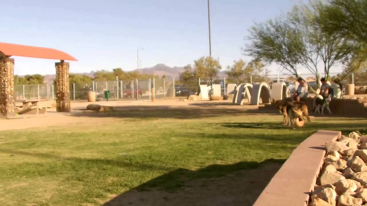 Sunset Dog Park  Lots of dogs Must See Day13