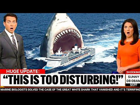 Dissecting The Shark.bae Leak: A Deep Dive