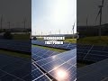 The Ingenious Origins of the First Practical Solar Panel