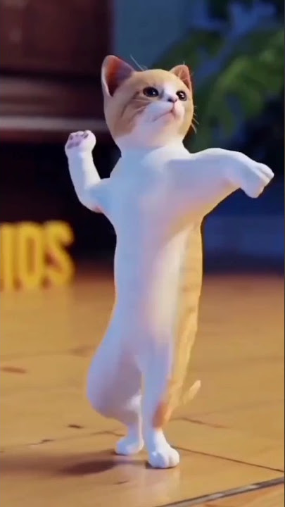 TIK TOK KUCING GOYANG MAPOPO#shorts