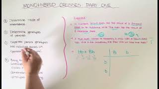 Monohybrid Crosses: Part 1