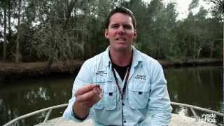 Inside Fishing: Estuary Perch screenshot 1