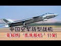 激烈對抗！中國空軍新型戰機，以零損傷“擊落敵機”17架【一号哨所】