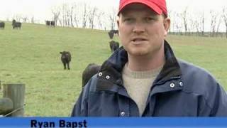 Caring For Cattle Through Proper Nutrition