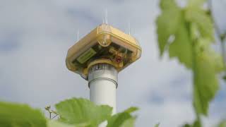 AgTech Growth Fund: Athena IR Tech
