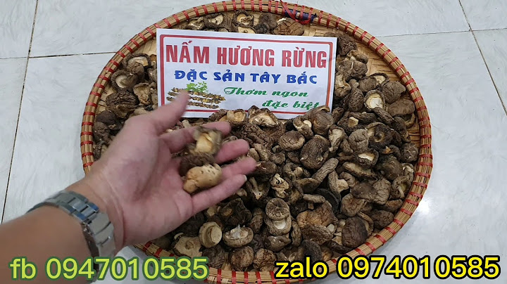 Bao nhiêu kg nâm tươi thanh 1 kg nấm khô năm 2024