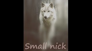 Wolf Online - How to get small nick (tutorial)