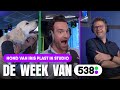 HOND van Iris PLAST in STUDIO | De Week Van 538