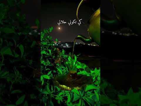 اغنية شغلتني كلمات ببالي