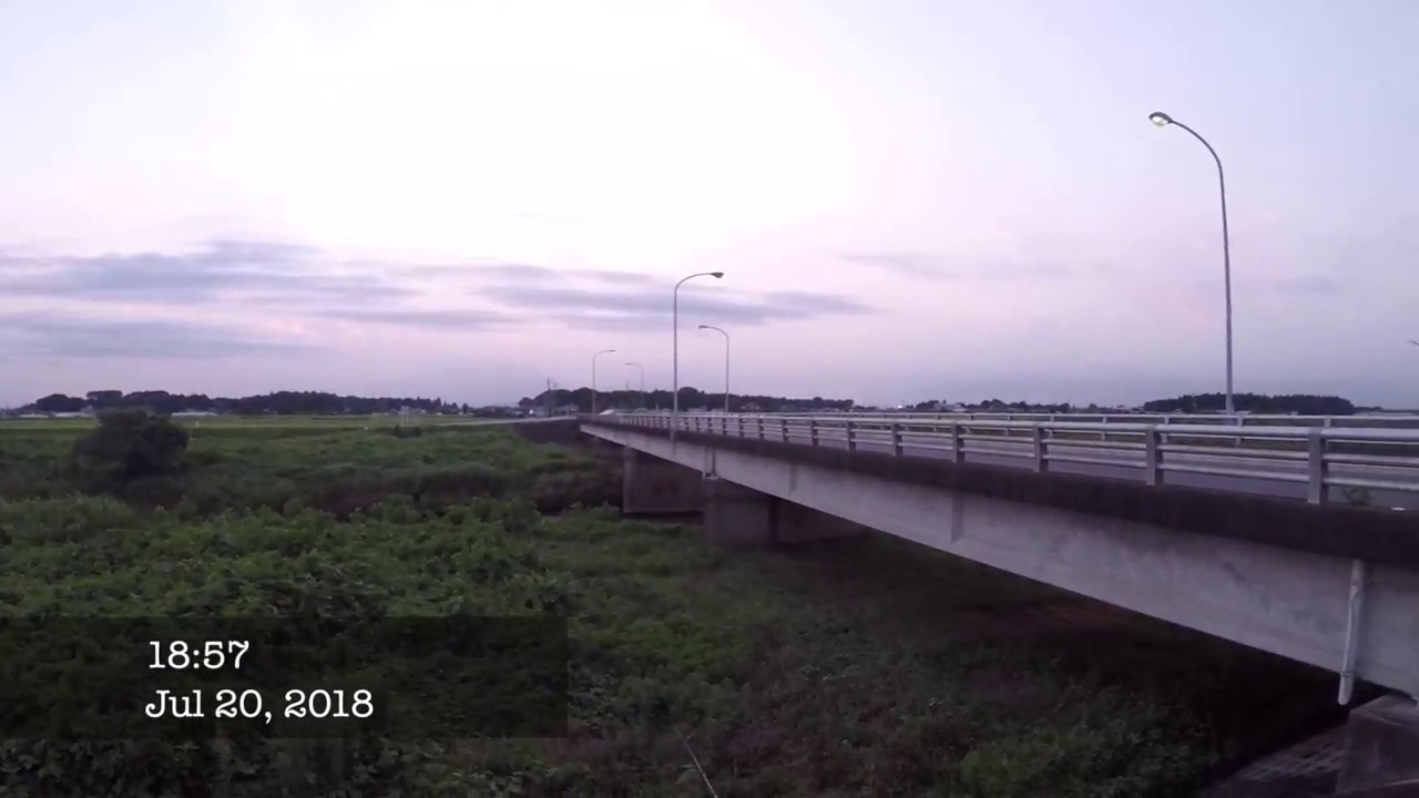 栃木 ナマズ 釣り