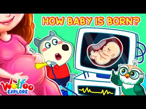 NEW| Wolfoo Explore 🔍 How Baby Is Born? Human Body | Wolfoo Channel | Kids Cartoon