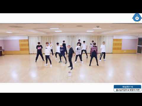 [세븐틴/I.O.I] 은근 잘맞는 벚꽃이지면 & 울고싶지않아