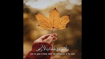 حالات واتس اب قران || حالات واتس قرأن || تلاوة خاشعة || Quran Status💙 اية قرانية قصيره🎧❤️