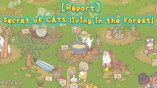 Cats & Soup : [Report]Secret of CATS living in the forest! screenshot 3