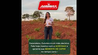 Chuvas se Aproximam💧: Sementes Peletizadas Agromax, Consultoria GRÁTIS 1 Ano e Semeadeira no sorteio
